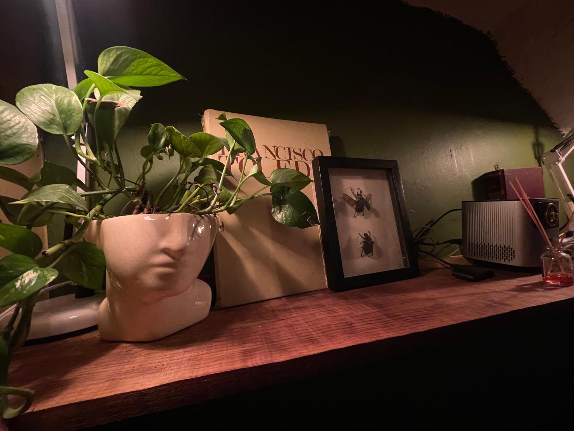 Apartamento Bio Nature Downtown House